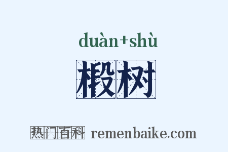 椴树是什么意思的图片